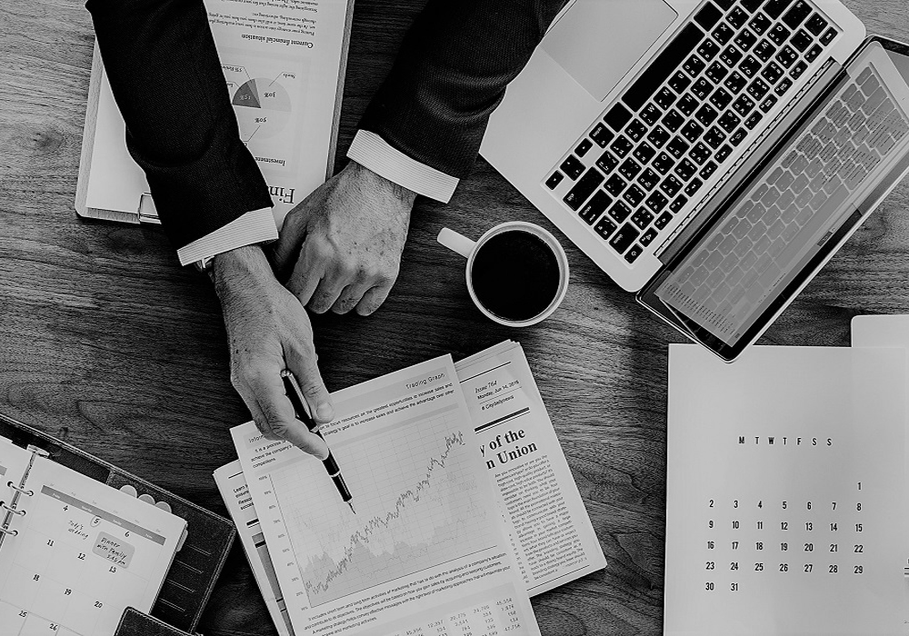 Service & Consulting